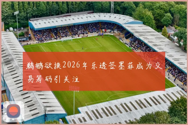 鹈鹕欲换2026年乐透签墨菲成为交易筹码引关注