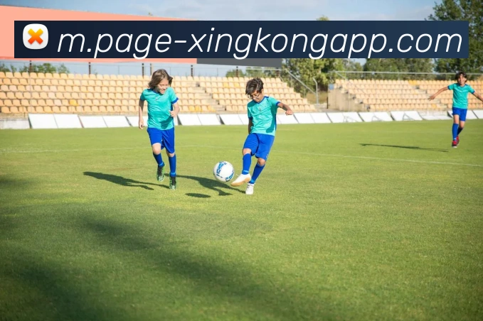 星空体育APP 封面图